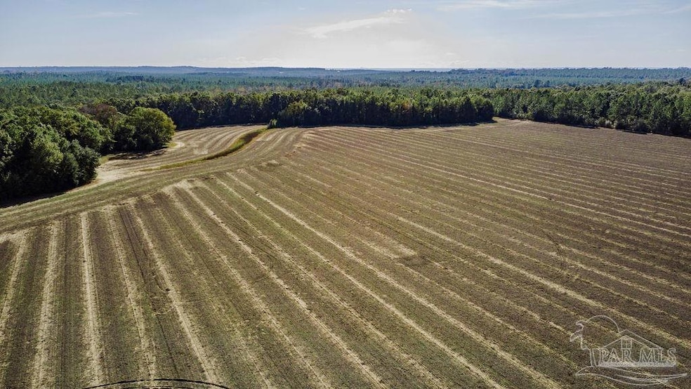 2A Segrest Rd, Chumuckla, FL 32571 - photo 1