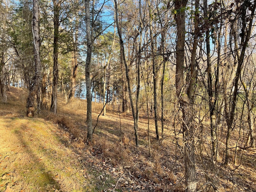 From front of lot