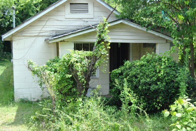 Primary Photo
