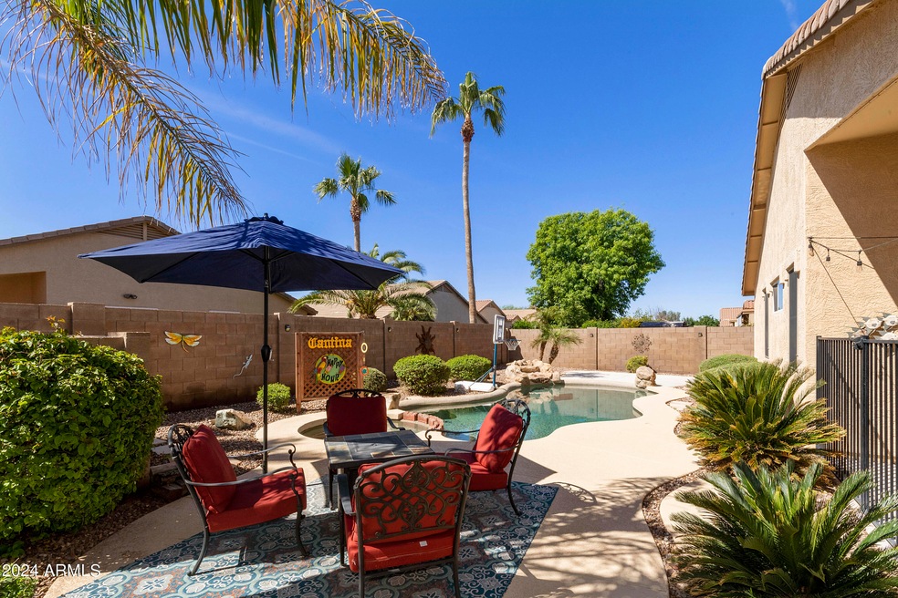Backyard 4 - Torrey