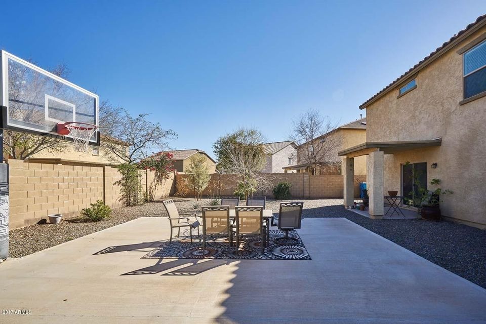 Backyard2