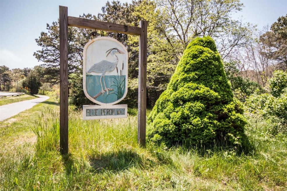8 Blue Heron Way, Edgartown, MA 02539 - photo 1