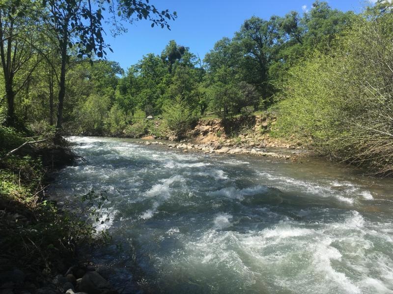 Cow Creek River