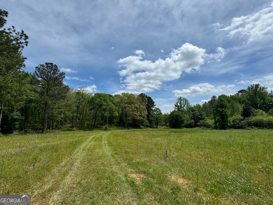 2331 Hollonville Rd, Brooks, GA 30205 - photo 1