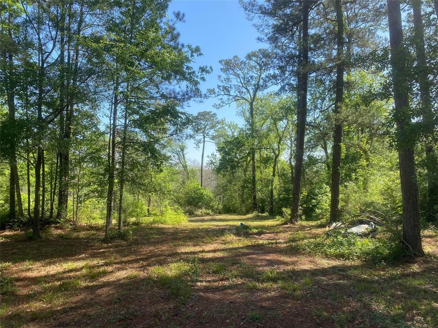 10705 Fm 1409 East Side, Dayton, TX 77535 - photo 1