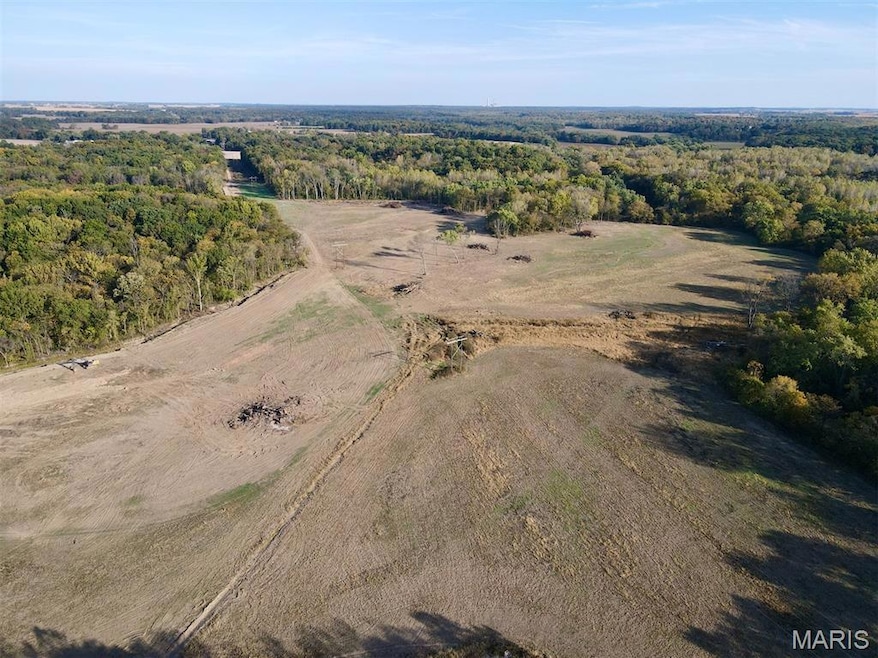 00 Union Grove Ave, Lagrange Township, IL 62246 - photo 1