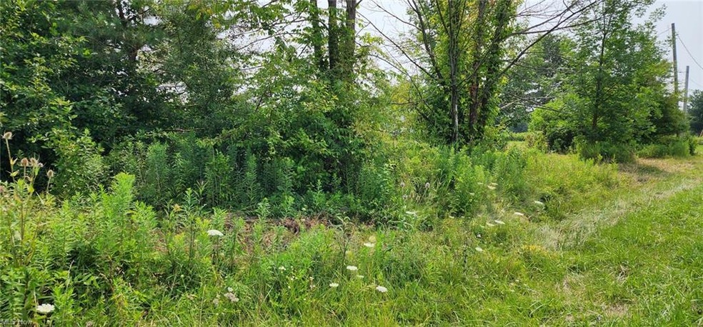 1476 Lenox-New Lyme Rd, Jefferson, OH 44047 - photo 1