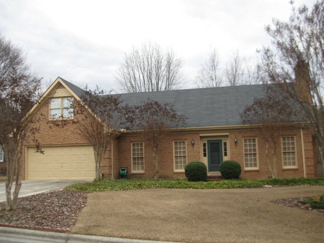 Main View