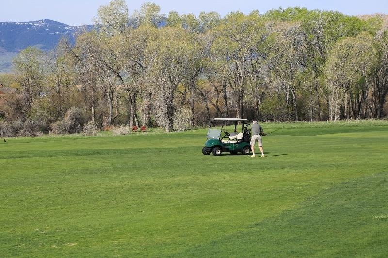 Fairway View