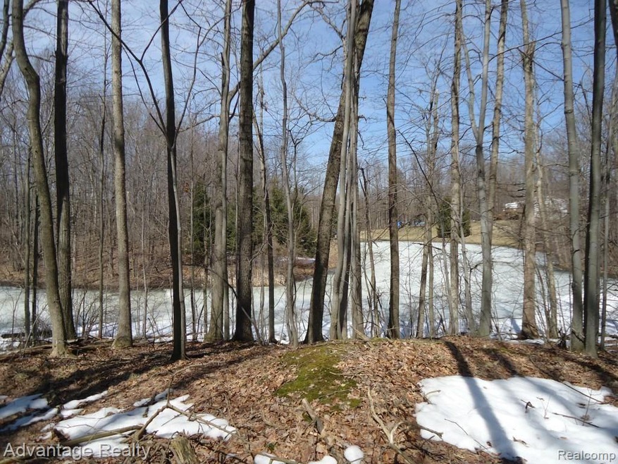 Wooded lot with pond!