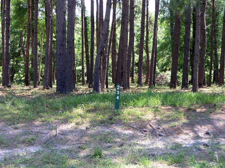 9263 W Lake Rd, Calabash, NC 28467 - photo 1