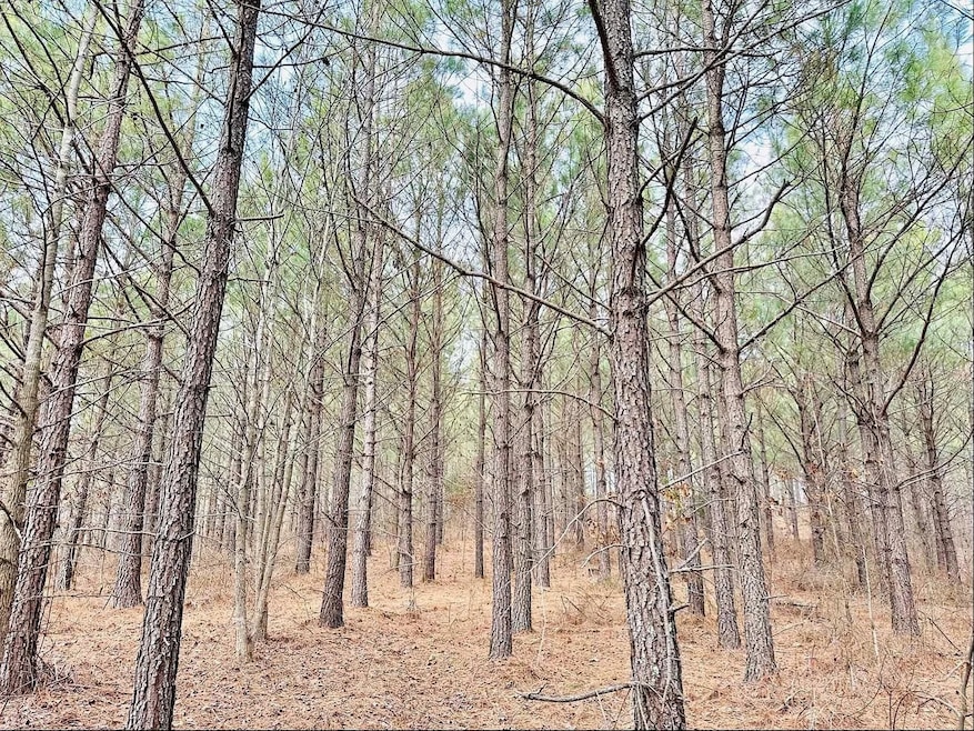 48 Ranches at Hickory Ridge, Dover, TN 37058 - photo 1