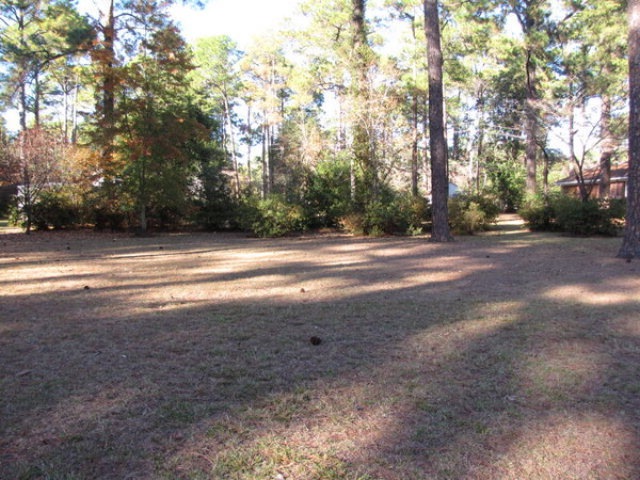 1717 Myrtle Rd, Albany, GA 31707 - photo 1