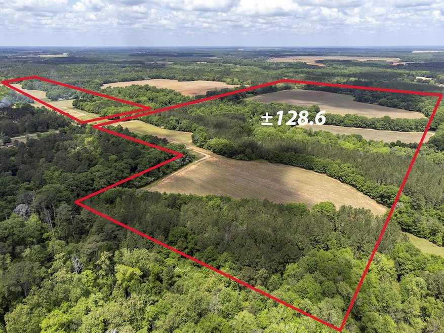 4015 Warner Rd, Dawson, GA 39842 - photo 1