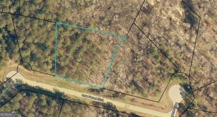 LOT 112 Cole Forest Blvd, Barnesville, GA 30204 - photo 1
