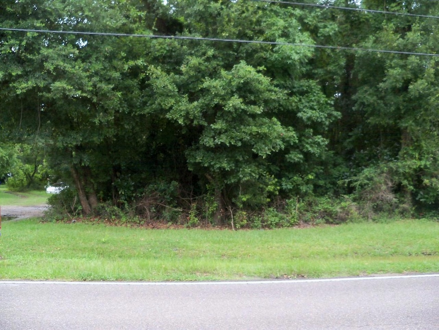 0 Grimball Rd unit 18021728, Charleston, SC 29412 - photo 1