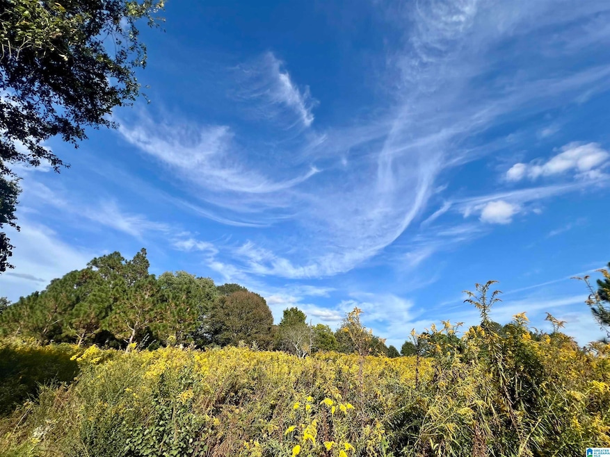 0 County Road 504 unit 21433250, Graham, AL 36263 - photo 1