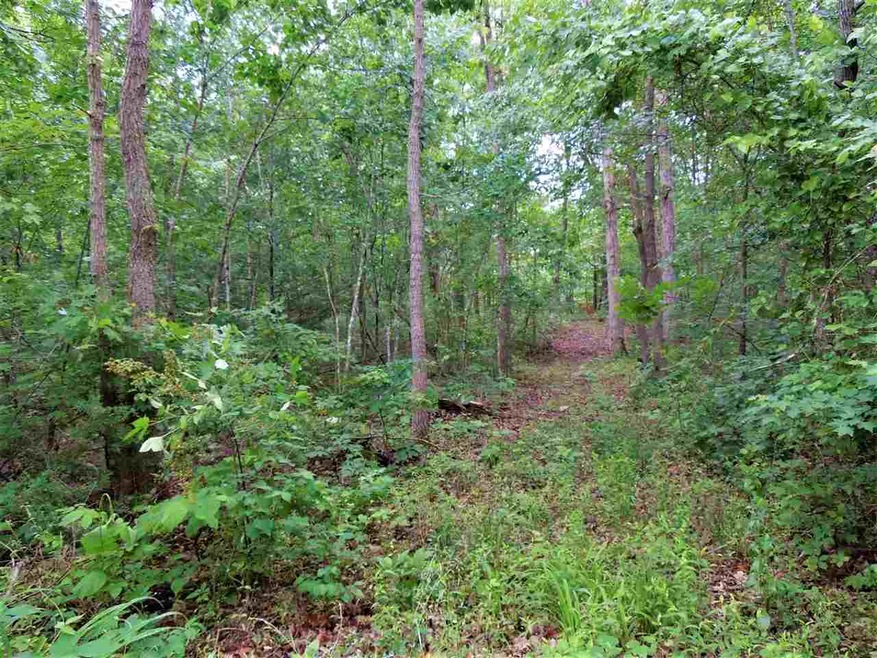 Lot 43 Whippoorwill Ln, 4, Newport, VA 22835 - photo 1