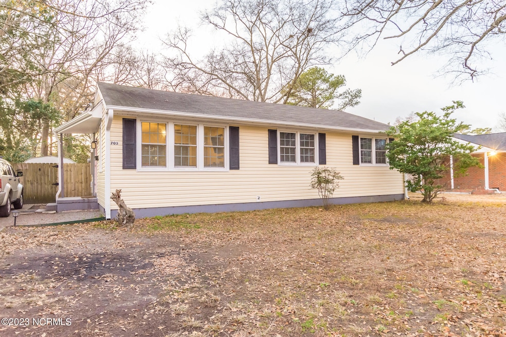 703 Williams St, Jacksonville, NC 28540 - photo 1