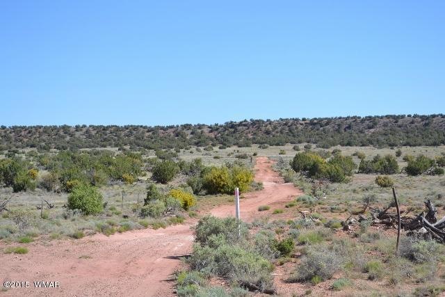 DSC_0261 (640x427)