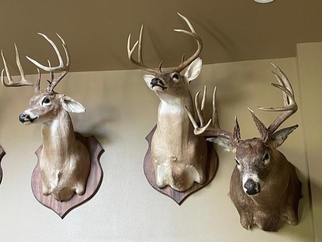 0000 Reynoldsburg Rd, Springville, TN 38256 - photo 1