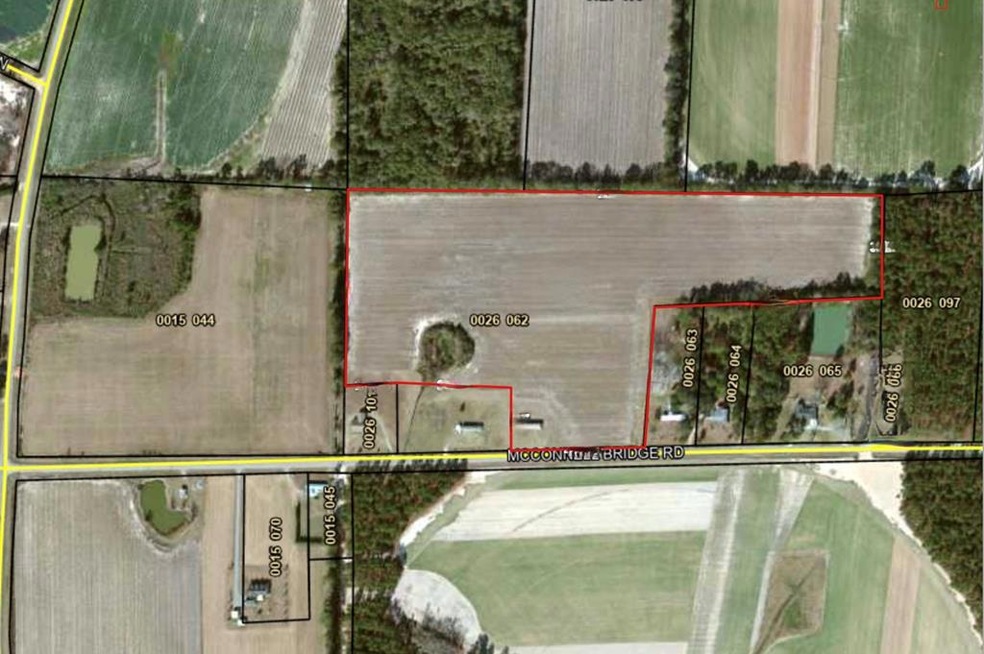 2864 McConnell Bridge Rd, Adel, GA 31620 - photo 1