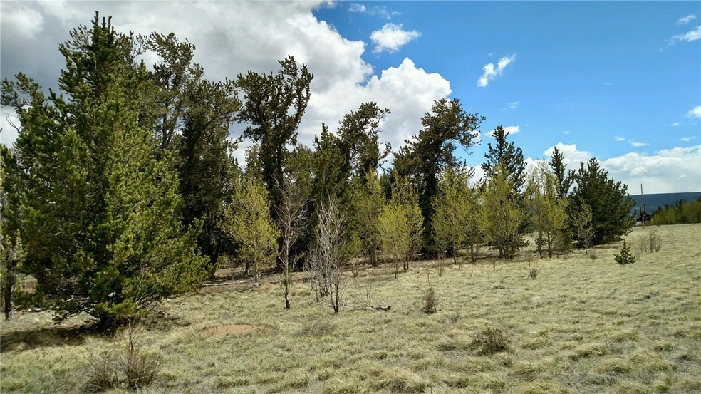 0 Bluestem Way, Fairplay, CO 80440