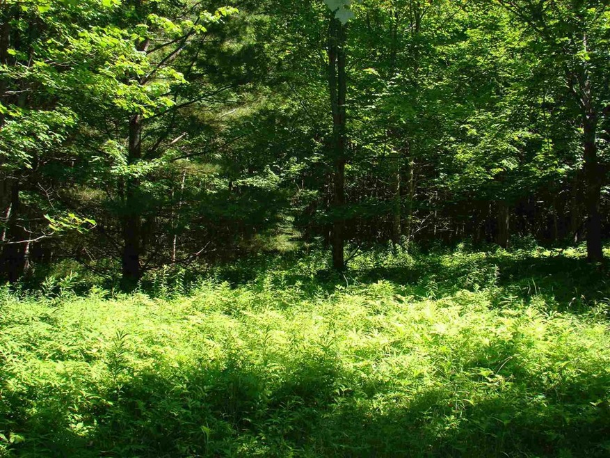 15 Taylor Ln, Whitingham, VT 05361 - photo 1