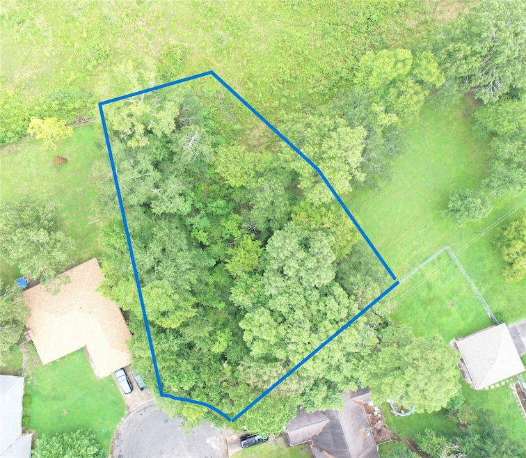 TBD Brinwood Place, Livingston, TX 77351 - photo 1