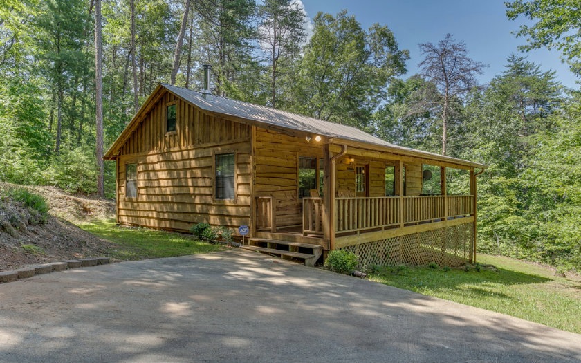 Main View