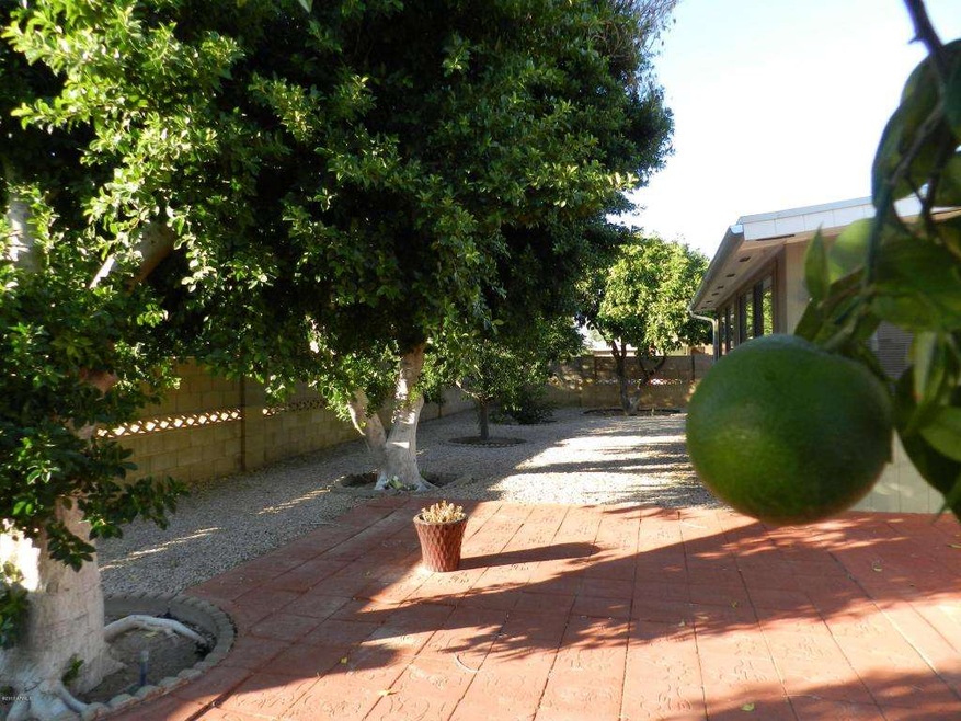 BACK YARD