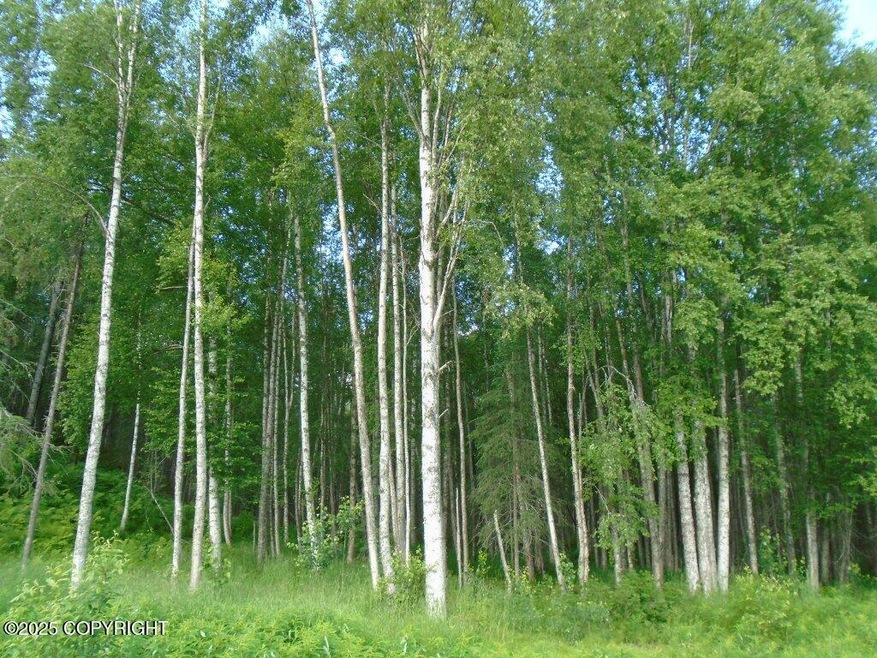 Woods