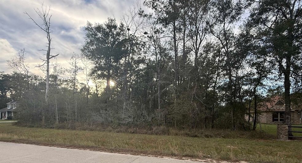 325 Talpa Trail, Lumberton, TX 77657 - photo 1