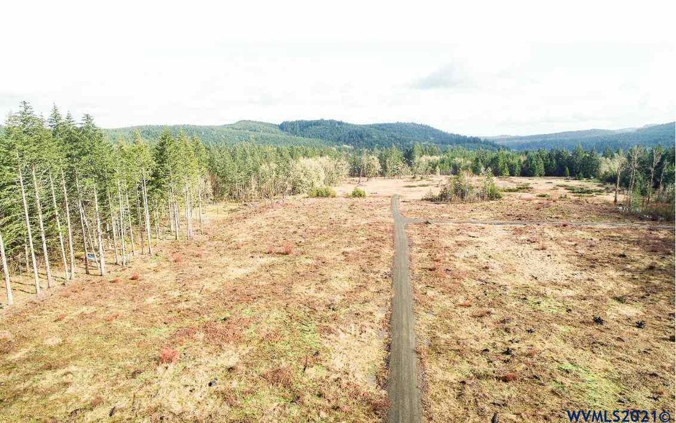 0 Gooseneck (Parcel #289476) Rd, Sheridan, OR 97378 - photo 1