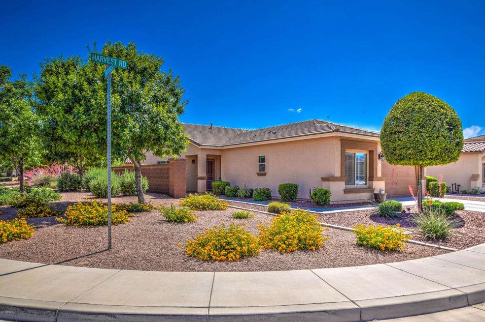 637 W Harvest Rd, San Tan Valley, AZ 85140 - photo 1