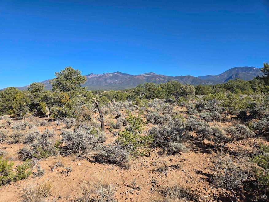 TBD Hondo Seco Rd, El Prado, NM 87529 - photo 1