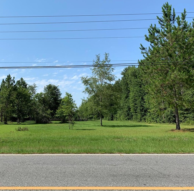 1516 Lily Pond Rd, Albany, GA 31707 - photo 1