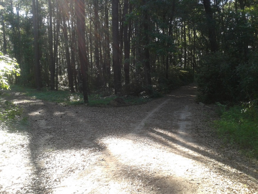 Entrance 1