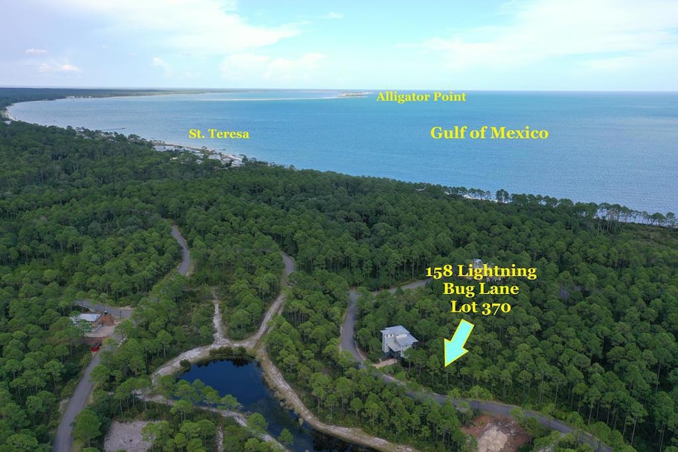 158 Lightning Bug Ln, Saint Teresa, FL 32358 - photo 1