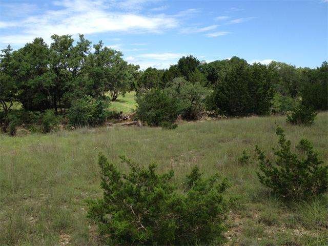 420 Lander Ln, Dripping Springs, TX 78620 - photo 1