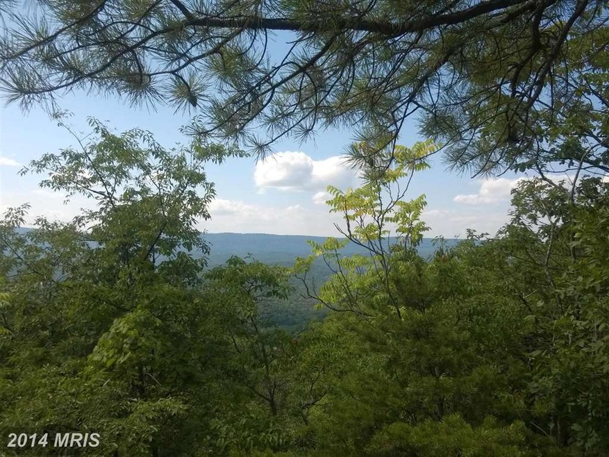 0 Bald Eagle Ln unit 1003177570, Great Cacapon, WV 25422 - photo 1