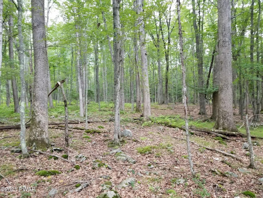 Lot 768 Tink Wig Dr, Lackawaxen Township, PA 18428 - photo 1