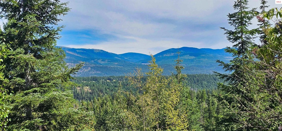 NNA 35 Acres Otter Ln, Naples, ID 83847 - photo 1