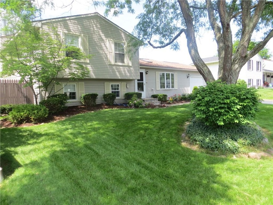 7977 Amor Dr.