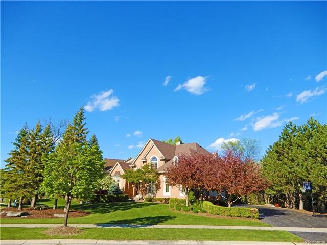ONE OF THE BEST LOTS IN THE HILLS OF CHELSEA PARK 