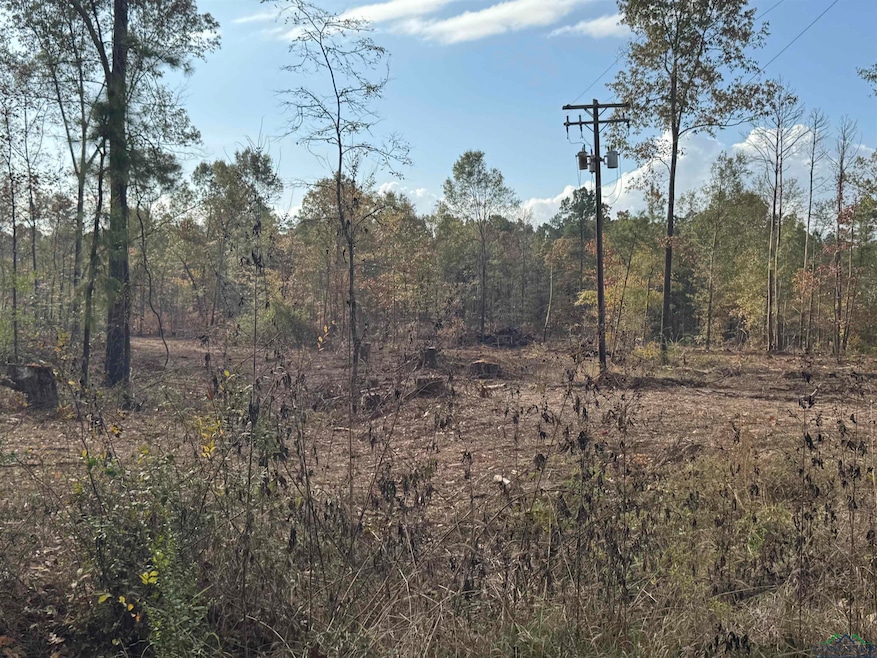 Lot 2 TBD County Road 4108, Henderson, TX 75654 - photo 1