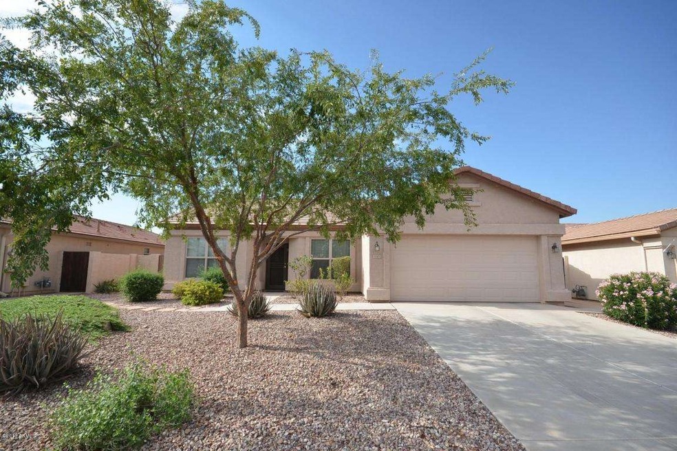 3143 Peach Tree