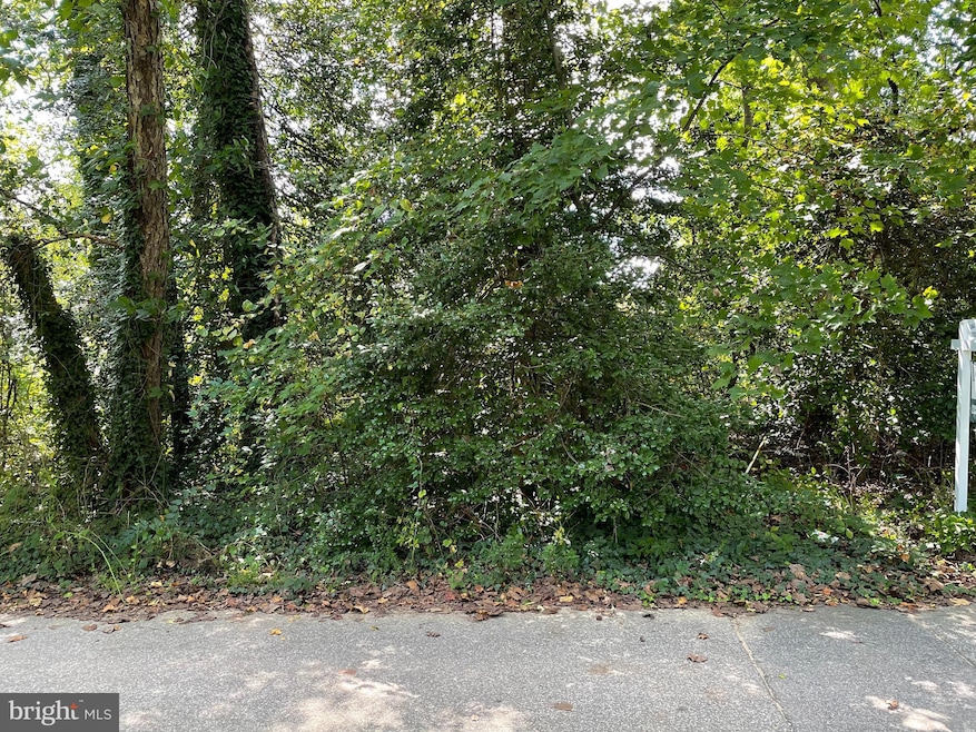 2499 Lee St, Gambrills, MD 21054 - photo 1