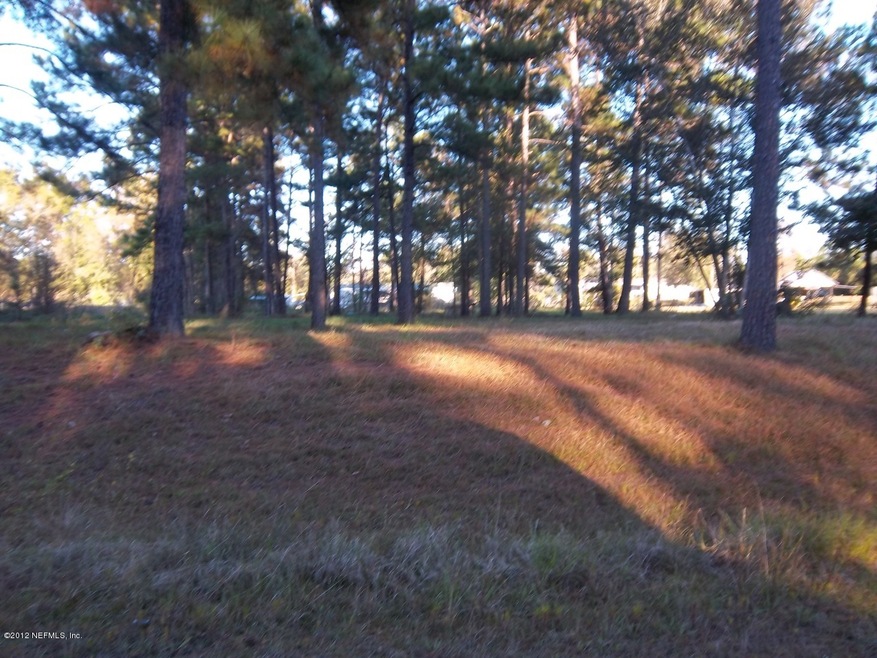 Pinebreeze lot