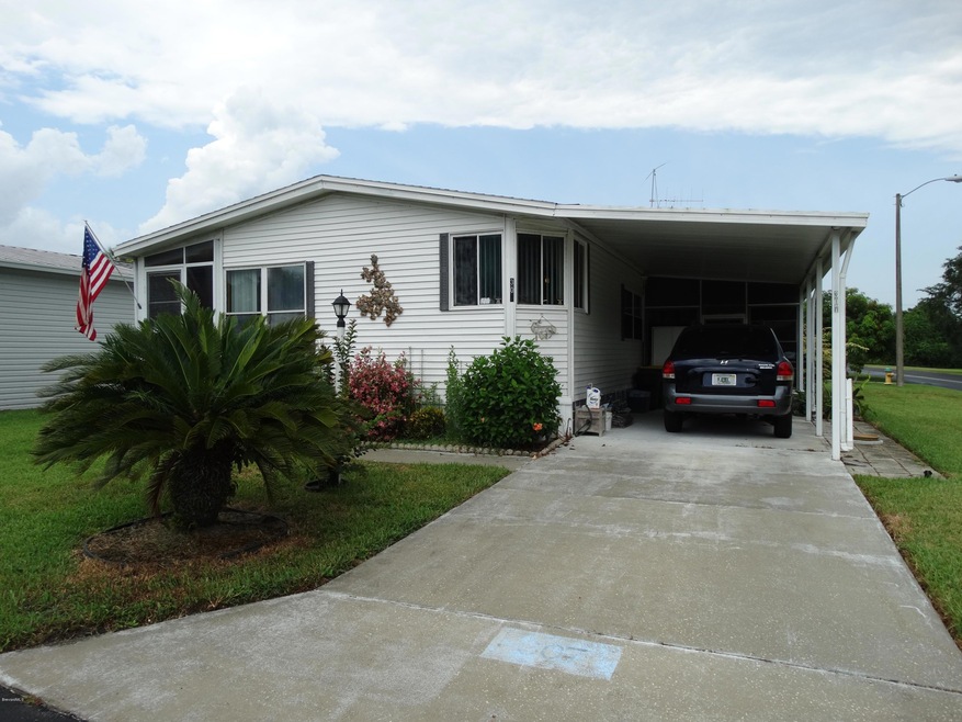 307 BUTTONWOOD